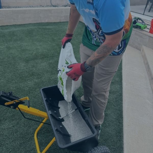 Turf Repair Weed Removal Service Image